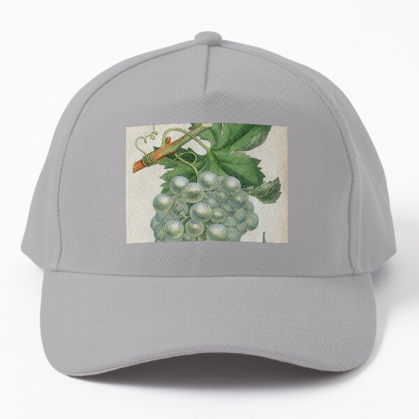 Dr. Woodville's Vitis Vinifera, 1793 Baseball Cap