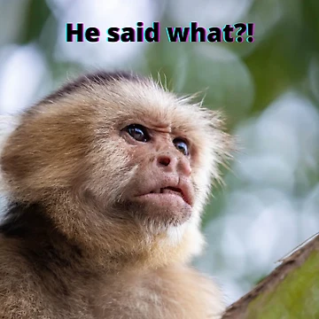 Artwork thumbnail, He Said What? by RBDESIGN SHOP