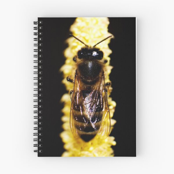 Item preview, Bee on yellow catkin designed and sold by Michaelerch.