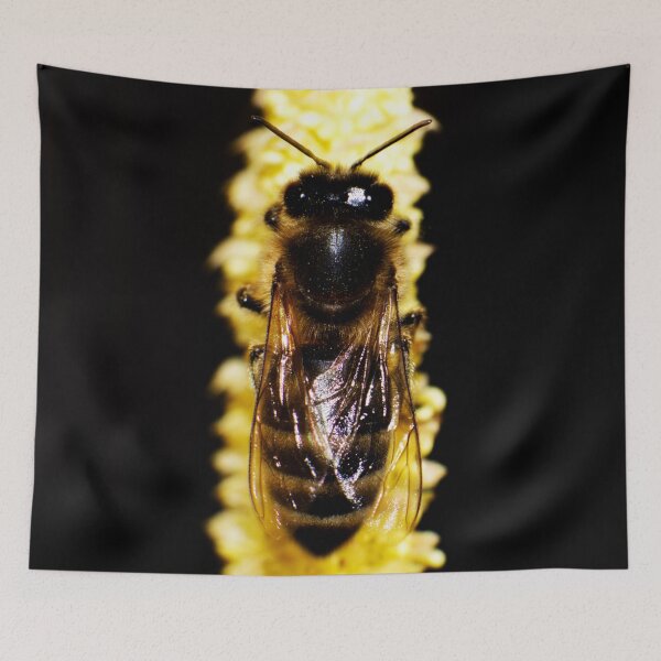 Item preview, Bee on yellow catkin designed and sold by Michaelerch.