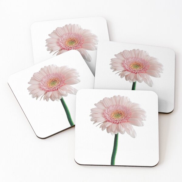 Item preview, Single Stem Pink Carnation Flower designed and sold by BlessingDirect.