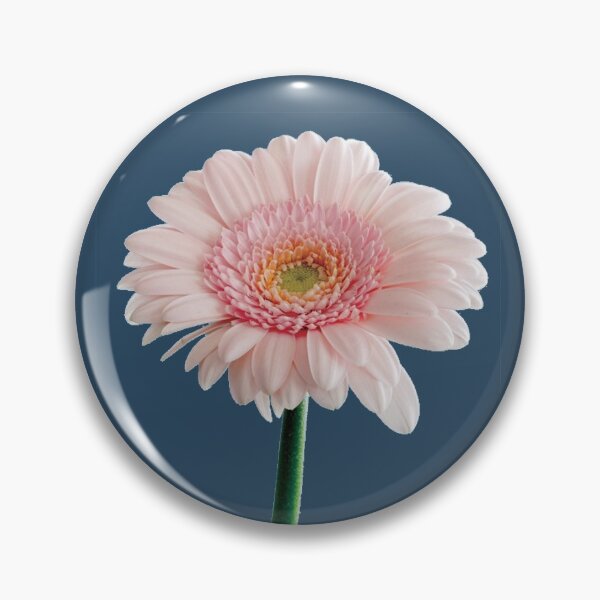 Item preview, Single Stem Pink Carnation Flower designed and sold by BlessingDirect.