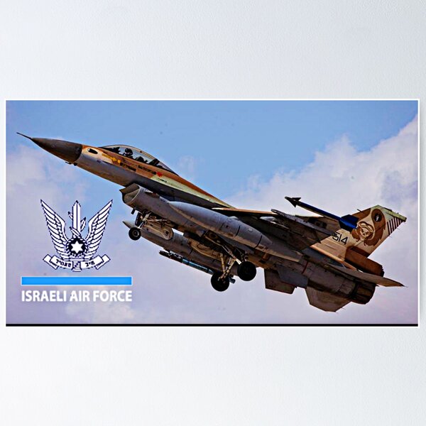 US AIR FORCE 敷き PILOT/エリートフォース F18ホーネット