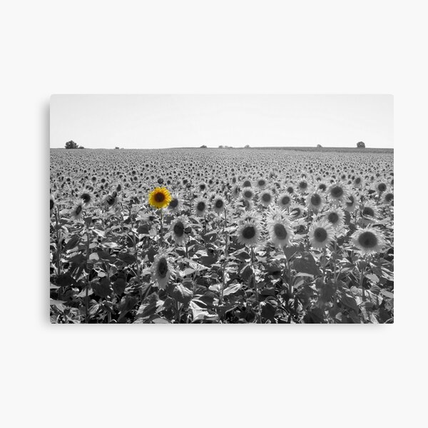 Prominence Metal Print
