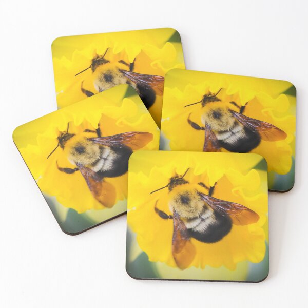 Item preview, Bumblebee with a daffodil designed and sold by PinkstaffPhotos.