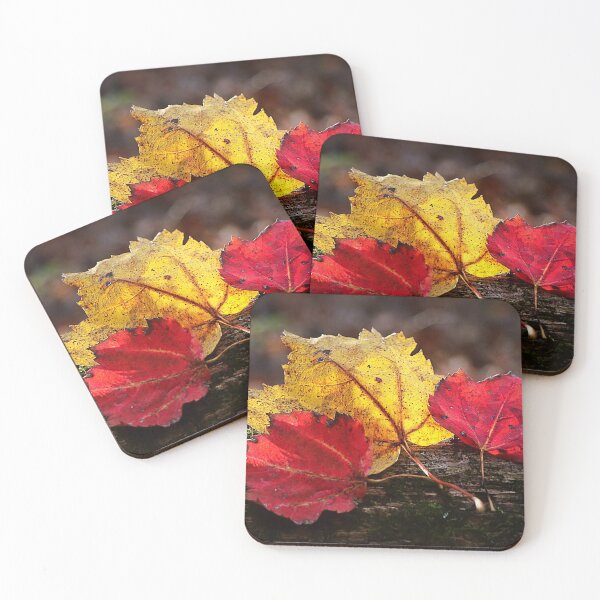 Item preview, Fall power of three designed and sold by PinkstaffPhotos.