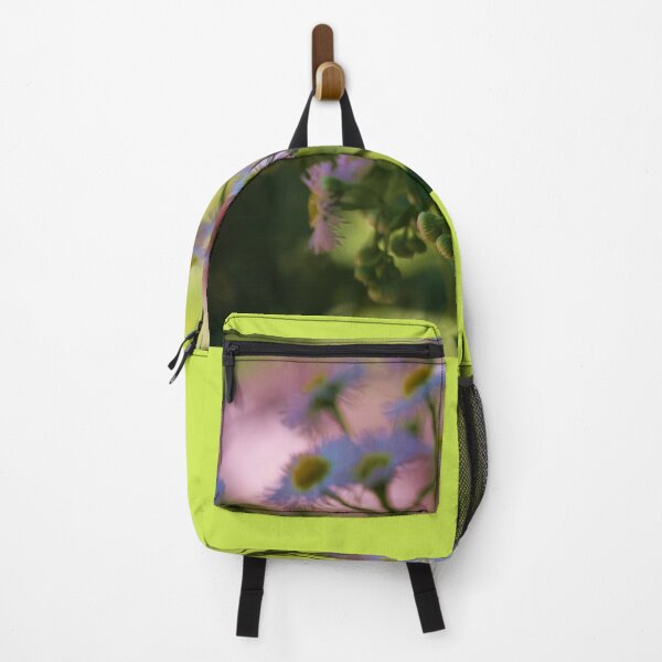 Item preview, Native Fleabane Daisy (Aster) Erigeron designed and sold by chstudios.