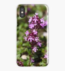 Mother of thyme flowers (Thymus praecox) iPhone Case/Skin