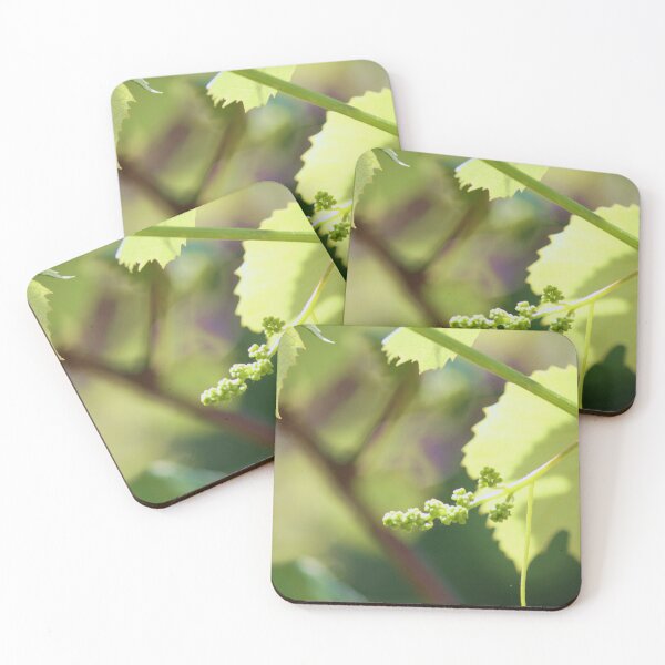Item preview, Grape study 1 designed and sold by chstudios.