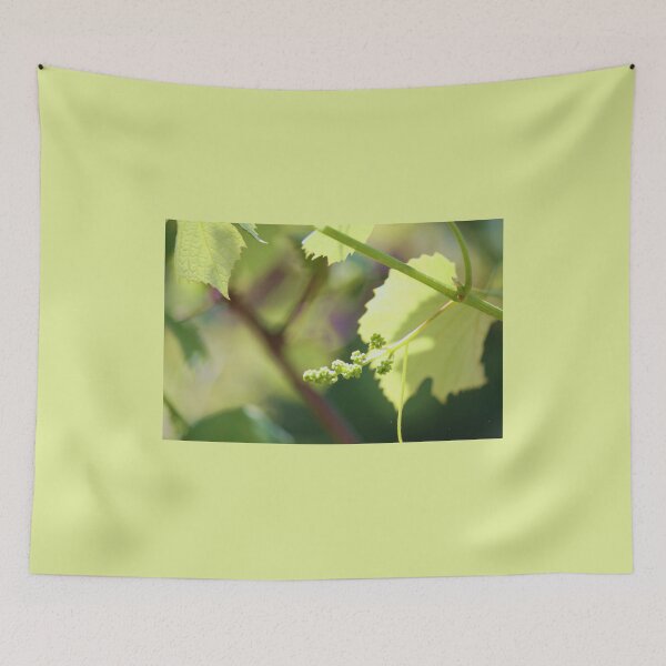 Item preview, Grape study 1 designed and sold by chstudios.