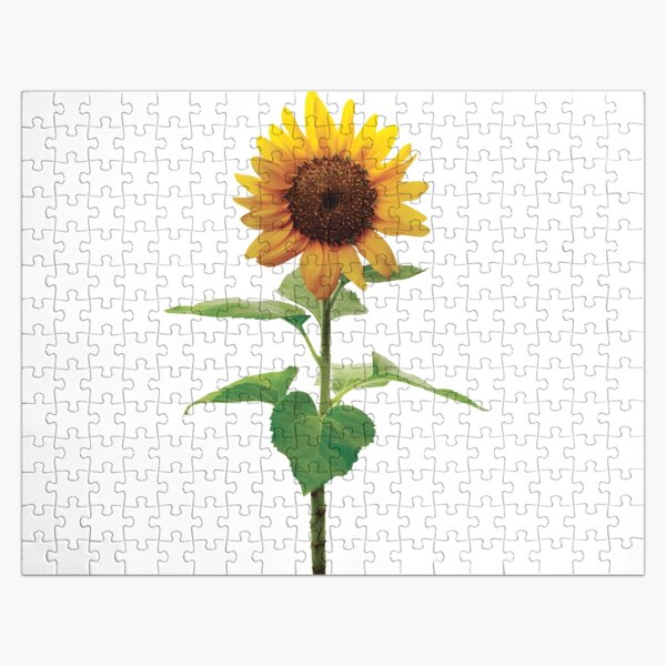 Artikel-Vorschau von Schöne Single Stiel Sonnenblume Gelbe Blumenblume, designt und verkauft von BlessingDirect.