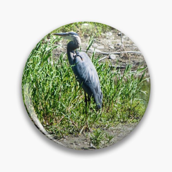 Item preview, Blue heron designed and sold by CanadianWild418.