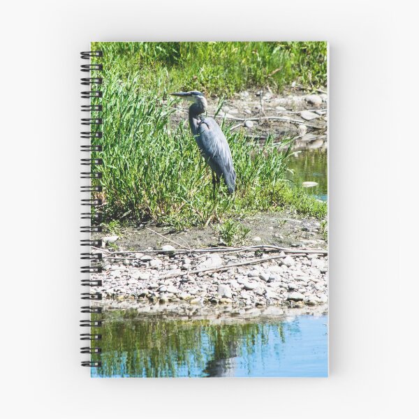 Item preview, Blue heron designed and sold by CanadianWild418.