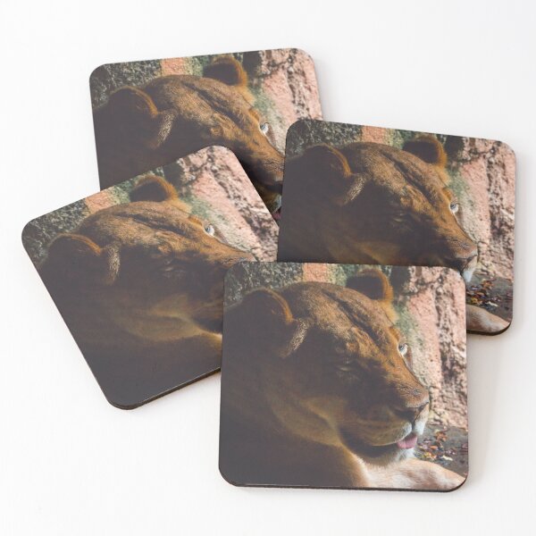 Item preview, Lioness resting in the shade designed and sold by Michael Deemer.