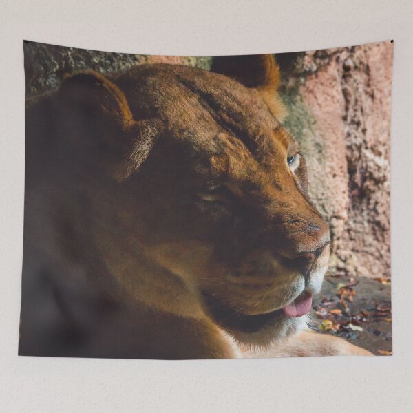 Item preview, Lioness resting in the shade designed and sold by Michael Deemer.