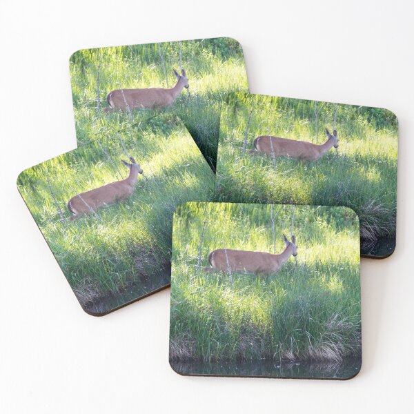 Item preview, White-tailed deer designed and sold by CanadianWild418.
