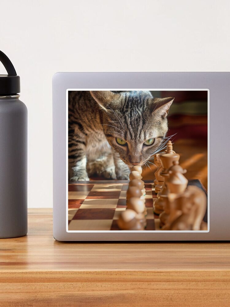 Green Eyed Cat Strategizes Next Chess Move | Sticker