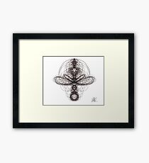 insect? Framed Print