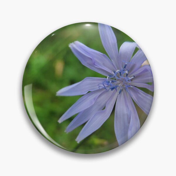 Item preview, Cornflower designed and sold by BarbieFirkus.
