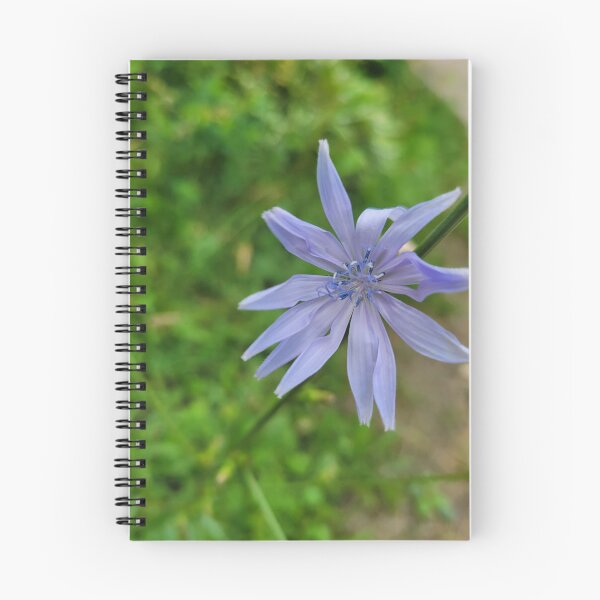 Item preview, Cornflower designed and sold by BarbieFirkus.