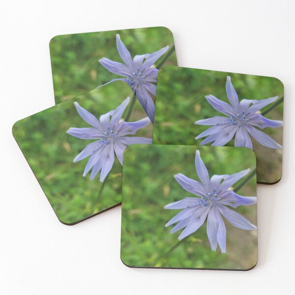 Item preview, Cornflower designed and sold by BarbieFirkus.