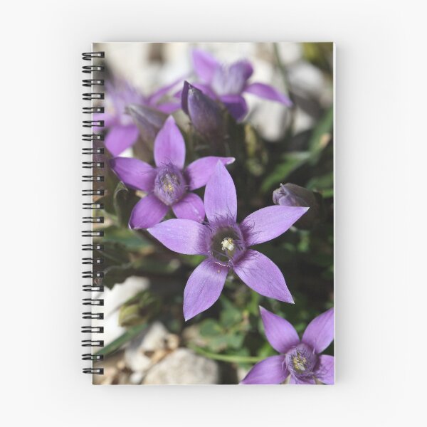 Item preview, Chiltern gentian (Gentianella germanica) designed and sold by Zosimus.