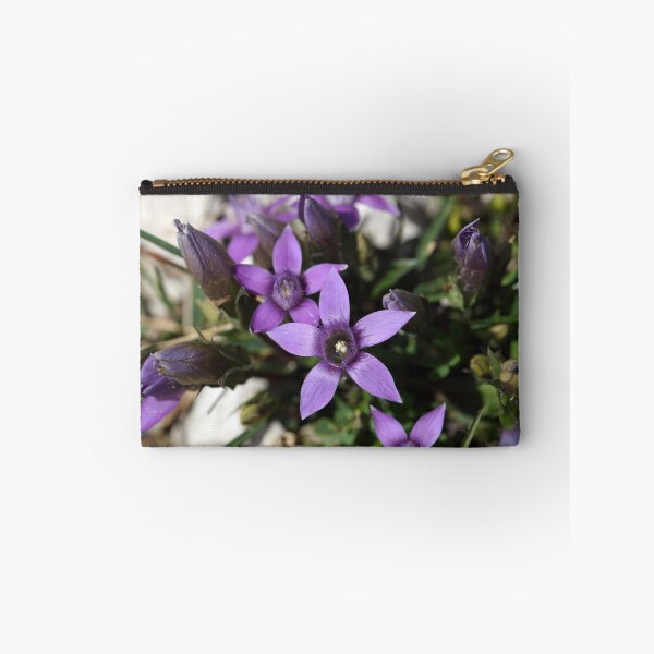Item preview, Chiltern gentian (Gentianella germanica) designed and sold by Zosimus.