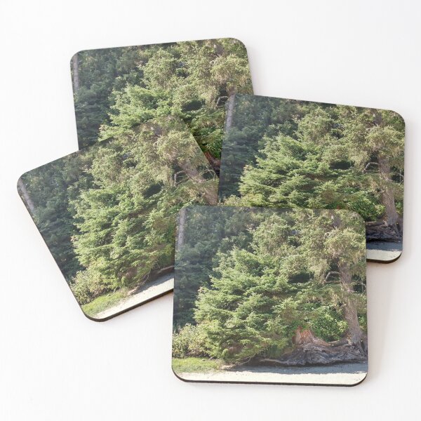 Item preview, Stretched Tree Limbs designed and sold by KearVedra.