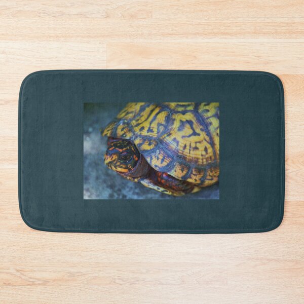 Item preview, Study of Shelly the Eastern box turtle, Terrapene carolina -2 designed and sold by chstudios.