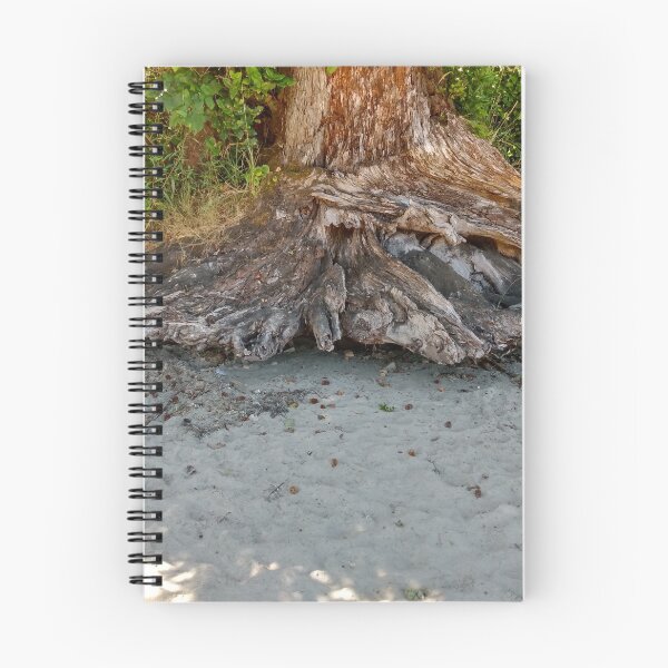 Item preview, Levitating Roots designed and sold by KearVedra.