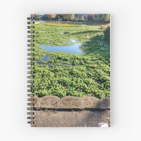 Item preview, Mossy Lake designed and sold by KearVedra.