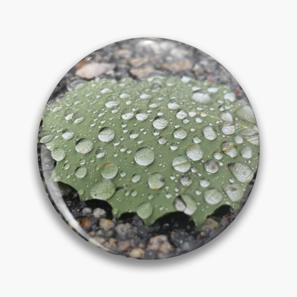 Item preview, Water droplets on a leaf designed and sold by Samantha Grela.