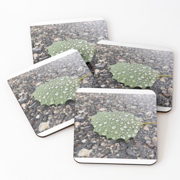 Item preview, Water droplets on a leaf designed and sold by Samantha Grela.