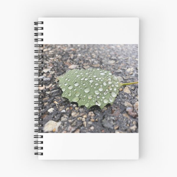 Item preview, Water droplets on a leaf designed and sold by Samantha Grela.