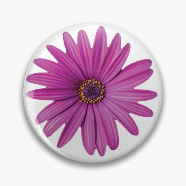 Purple African Daisy Petal Flower Pin