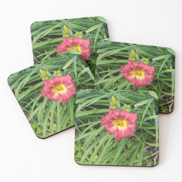 Item preview, Pink Day Lily designed and sold by GardenArtworks.