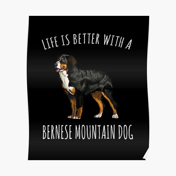 Life Is Better With A Bernese Mountain Dog Lover Poster