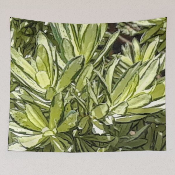 Item preview, Little Bush Plant designed and sold by MulesParty.