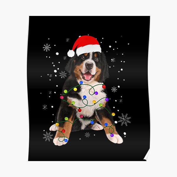 Bernese Mountain Dog Lights Christmas Matching Family Poster