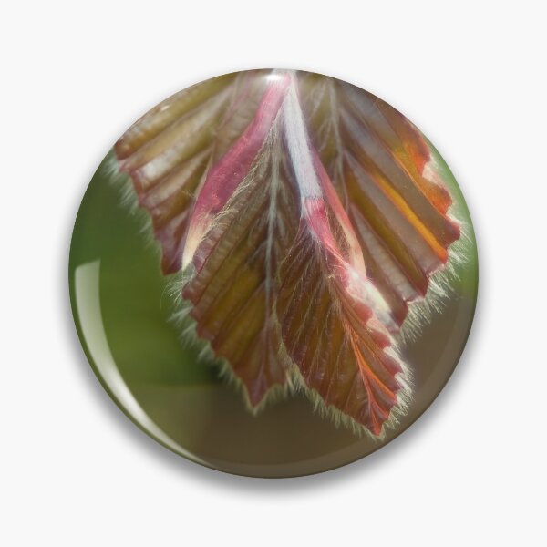 Item preview, Gentle unfolding  designed and sold by steppeland.