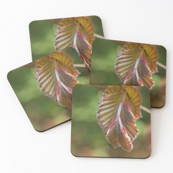 Item preview, Gentle unfolding  designed and sold by steppeland.
