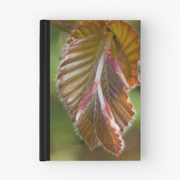 Item preview, Gentle unfolding  designed and sold by steppeland.