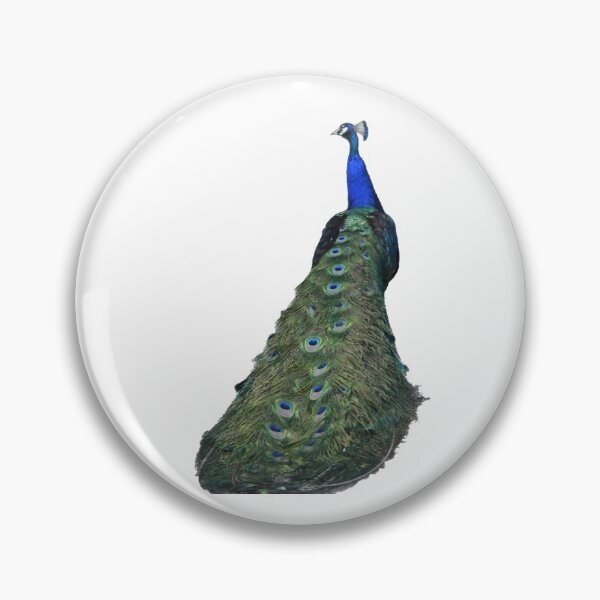 Item preview, Peacock Strut designed and sold by mrvk-art.