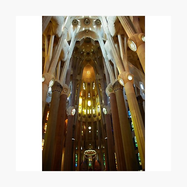 St. Paul's Cathedral Photographic Print