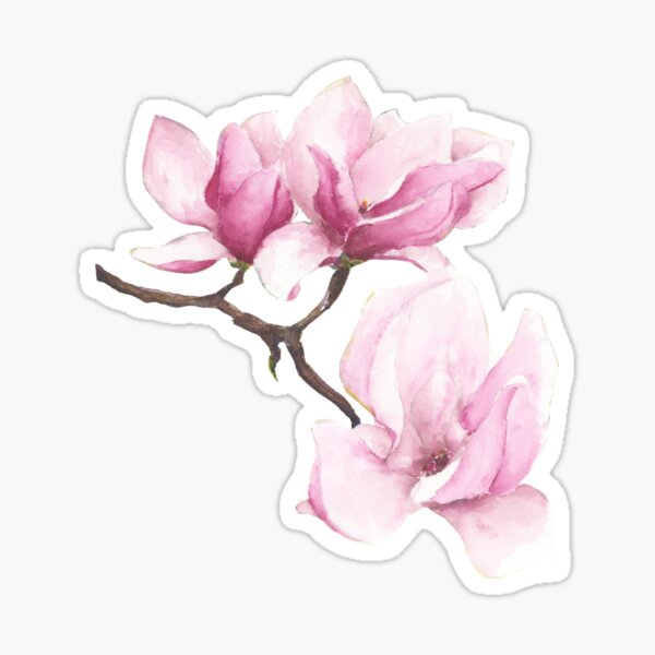 Item preview, Watercolor Magnolia Blossoms designed and sold by purple-mango.