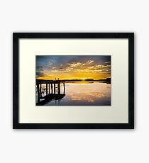 Yellow Flickers Framed Print