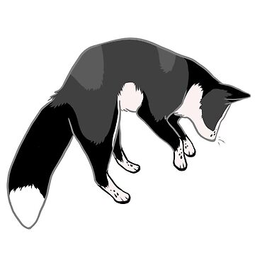 Artwork thumbnail, Jumping Silver Fox by RunningRogan