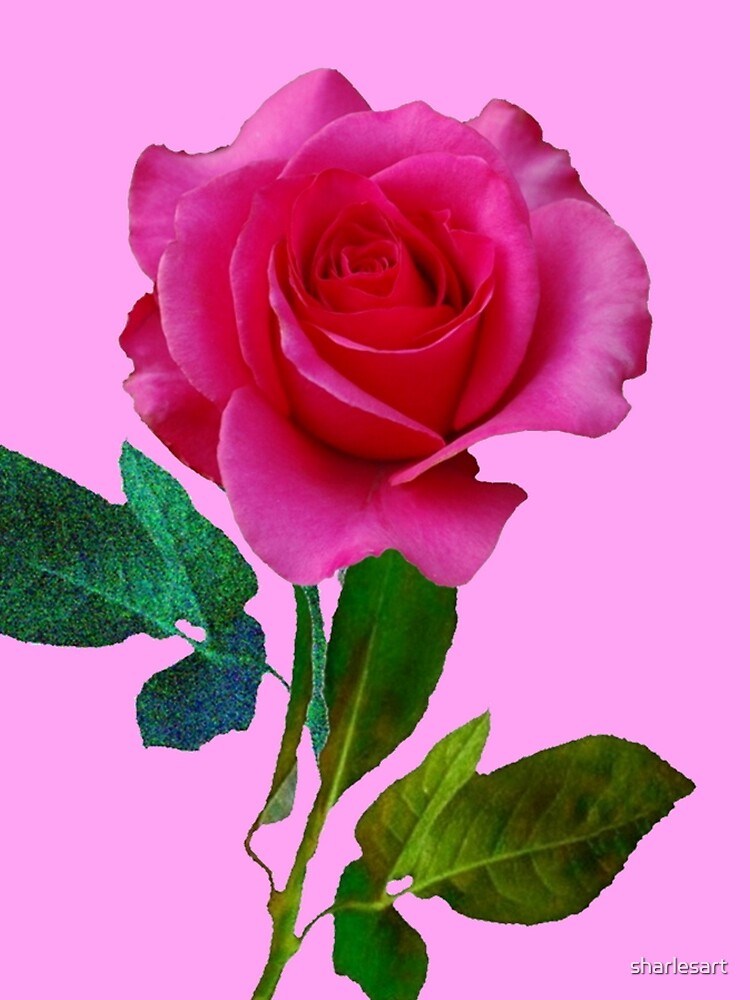 Thumbnail 3 von 3, Tuch, CERISE ROSA ROSE AUF ROSE FARBE ART designt und verkauft von sharlesart.