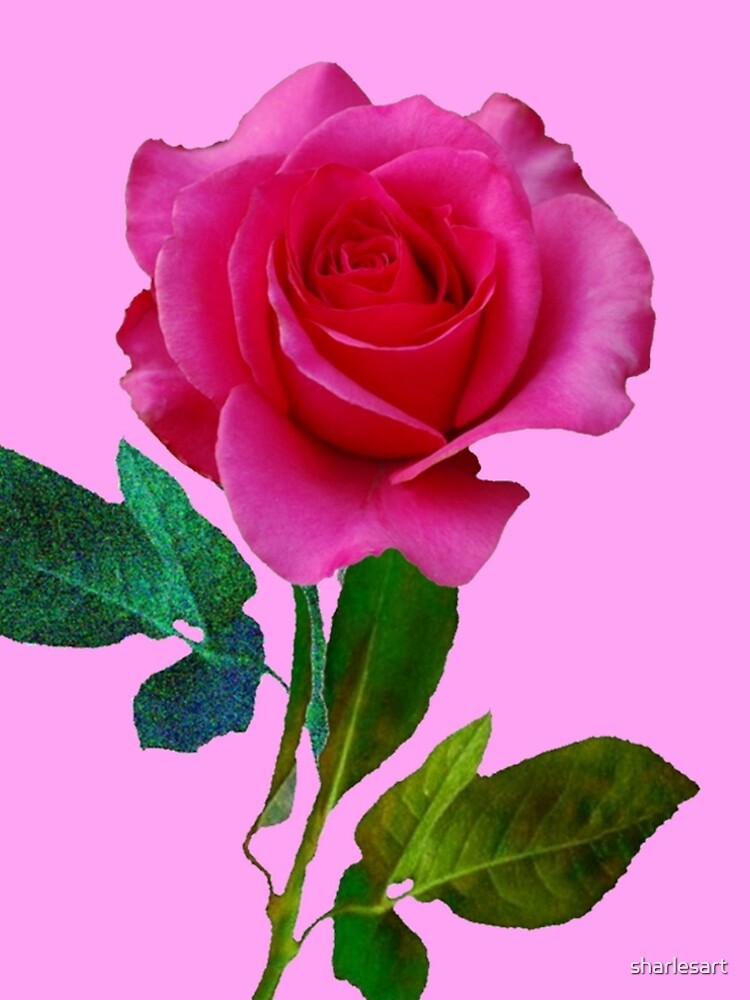 Thumbnail 5 von 5, A-Linien Kleid, CERISE ROSA ROSE AUF ROSE FARBE ART designt und verkauft von sharlesart.