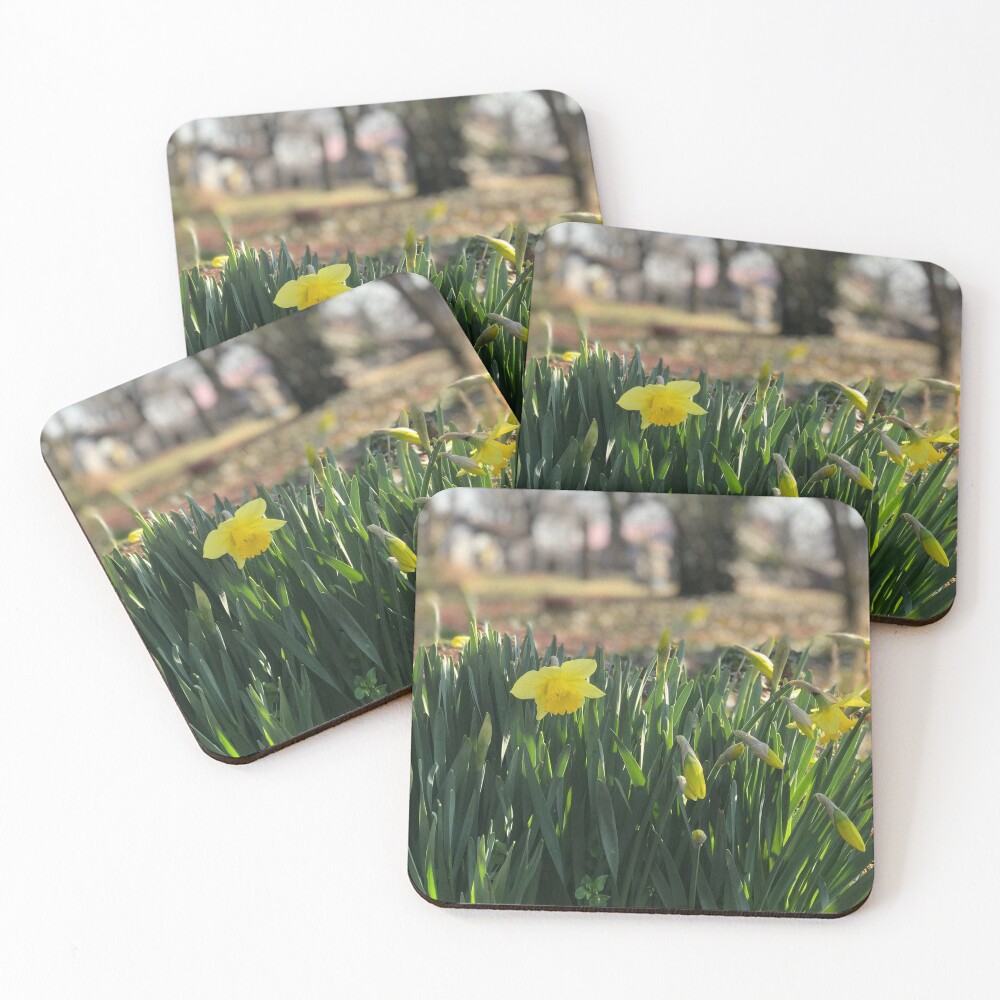 Item preview, Coasters (Set of 4) designed and sold by pwpics.